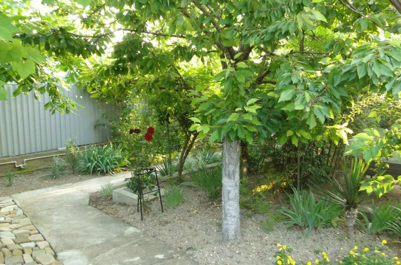 Изображение Изображение гостиницы &quot;Гостевой дом «Под соснами»&quot; #5 #5