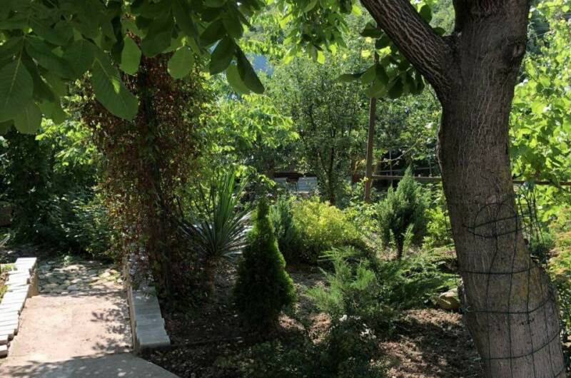 Изображение Изображение гостиницы &quot;Гостевой дом «Под соснами»&quot; #6 #6