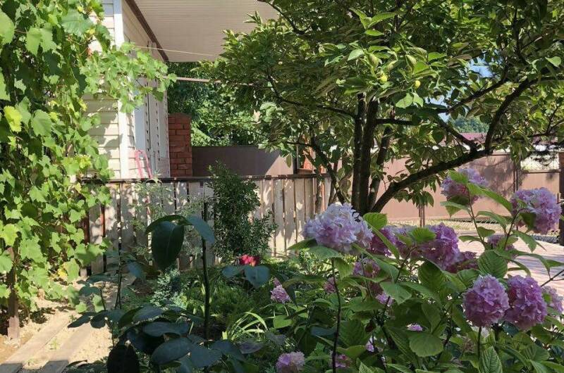 Изображение Изображение гостиницы &quot;Гостевой дом «Под соснами»&quot; #7 #7