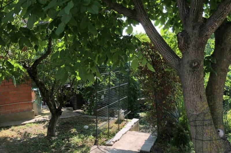 Изображение Изображение отеля / гостиницы "Гостевой дом «Под соснами»" #10 #8