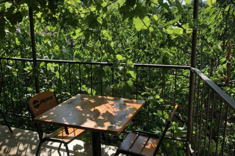 Изображение Изображение отеля / гостиницы "Гостевой дом «Под соснами»" #11 #9