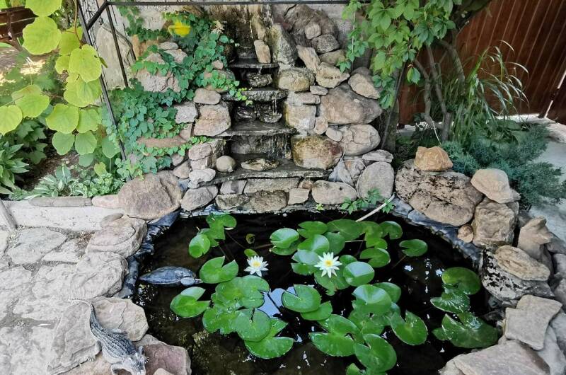 Изображение Изображение гостиницы "Гостевой дом «Райский островок»" #4 #4