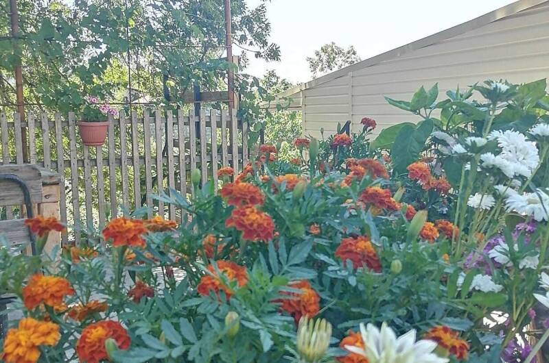 Изображение Изображение гостиницы &quot;Гостевой дом «С Севера на Юг»&quot; #8 #8