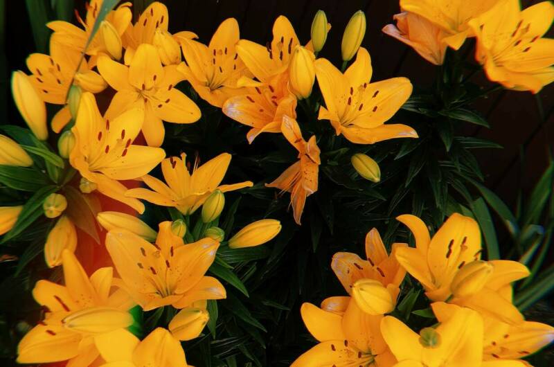 Изображение Изображение гостиницы "Гостевой дом «Аэлита»" #8 #8