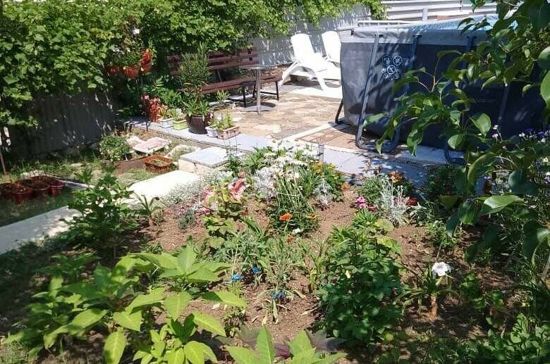 Изображение Изображение гостиницы &quot;Гостевой дом «Облака»&quot; #7 #7