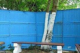 Изображение Изображение гостиницы &quot;Гостевой дом «Облака»&quot; #8 #8