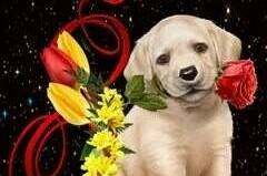 Изображение Изображение квартиры "Квартира-студия на Чкалова 11" #6 #6