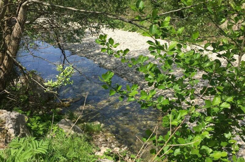 Изображение Изображение гостиницы &quot;Гостевой дом «Каштан»&quot; #5 #5