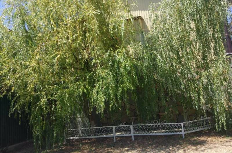 Изображение Изображение квартиры &quot;Дом под ключ «У Ивы»&quot; #1 #1