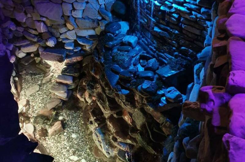 Изображение Изображение отеля / гостиницы "Частный дом «Лидия»" #11 #9