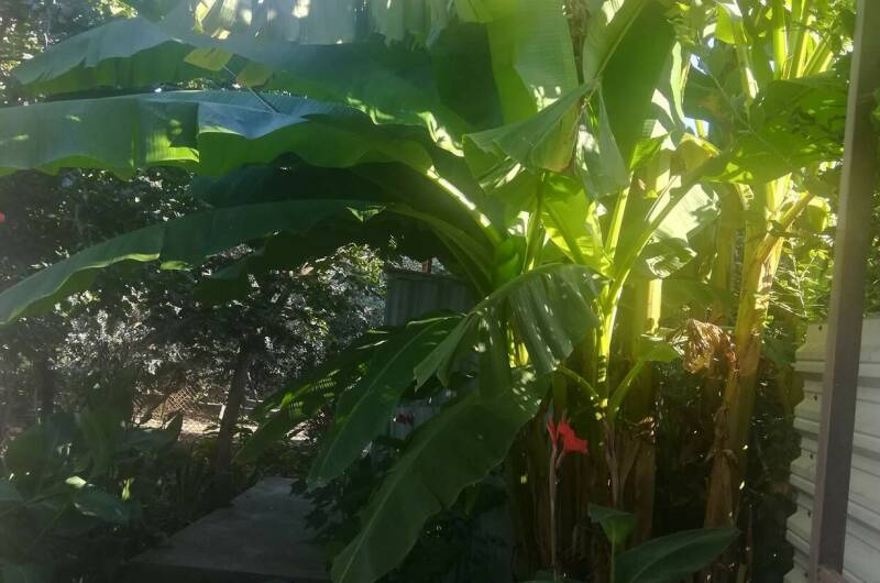 Изображение Изображение гостиницы &quot;Гостевой дом «Елена»&quot; #6 #6