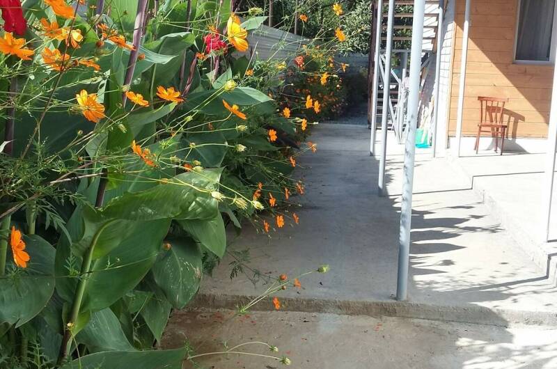 Изображение Изображение отеля / гостиницы "Гостевой дом «Елена»" #10 #8