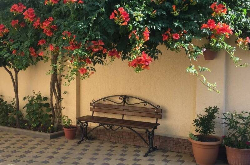 Изображение Изображение гостиницы &quot;Гостевой дом «У Георгия и Ирины»&quot; #2 #2