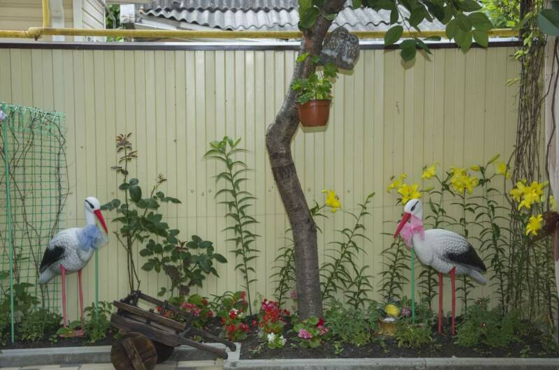 Изображение Изображение гостиницы &quot;Гостевой дом «У Георгия и Ирины»&quot; #5 #5