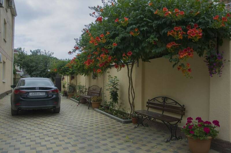 Изображение Изображение отеля / гостиницы "Гостевой дом «У Георгия и Ирины»" #10 #8