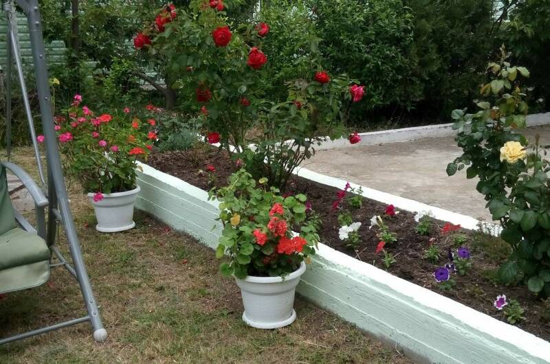 Изображение Изображение гостиницы &quot;Гостевой дом «Мечта-3»&quot; #6 #6