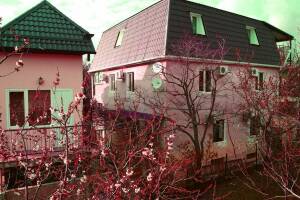 Изображение Гостевой дом «Велес» #3