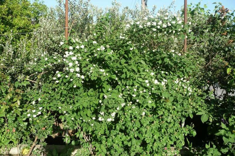 Изображение Изображение отеля / гостиницы "Гостевой дом «Мария»" #10 #8