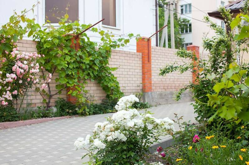 Изображение Изображение гостиницы &quot;Гостевой дом «Леонидас»&quot; #4 #4