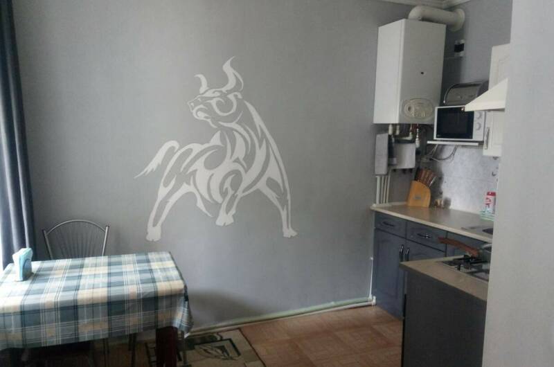 Изображение Изображение квартиры / апартамента "Двухкомнатная квартира на Фадеева" #1 #1