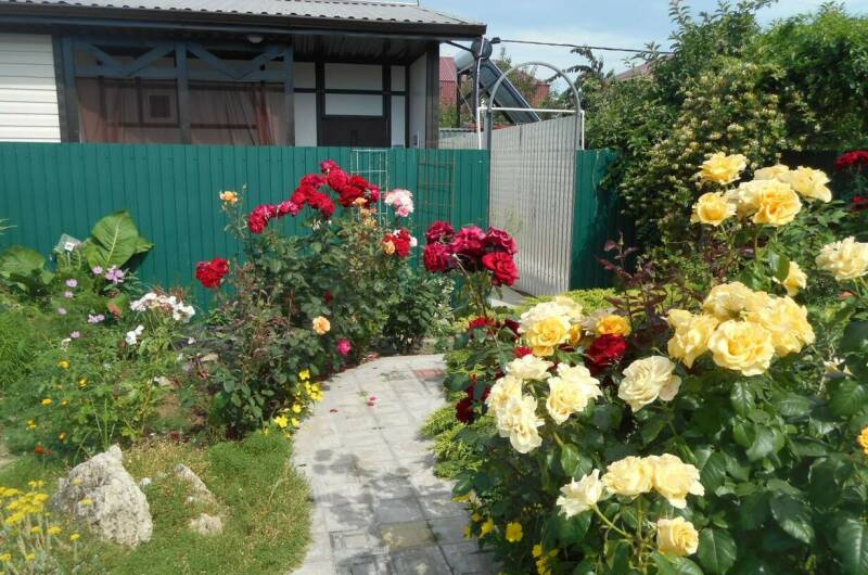 Изображение Изображение гостиницы &quot;Частный сектор «Марина»&quot; #7 #7