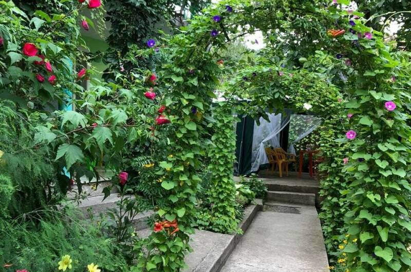 Изображение Изображение гостиницы &quot;Гостевой дом «Эдельвейс»&quot; #2 #2