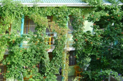 Изображение Изображение гостиницы &quot;Гостевой дом «Эдельвейс»&quot; #4 #4