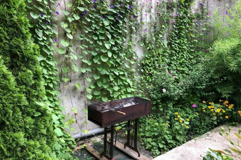 Изображение Изображение гостиницы &quot;Гостевой дом «Эдельвейс»&quot; #5 #5