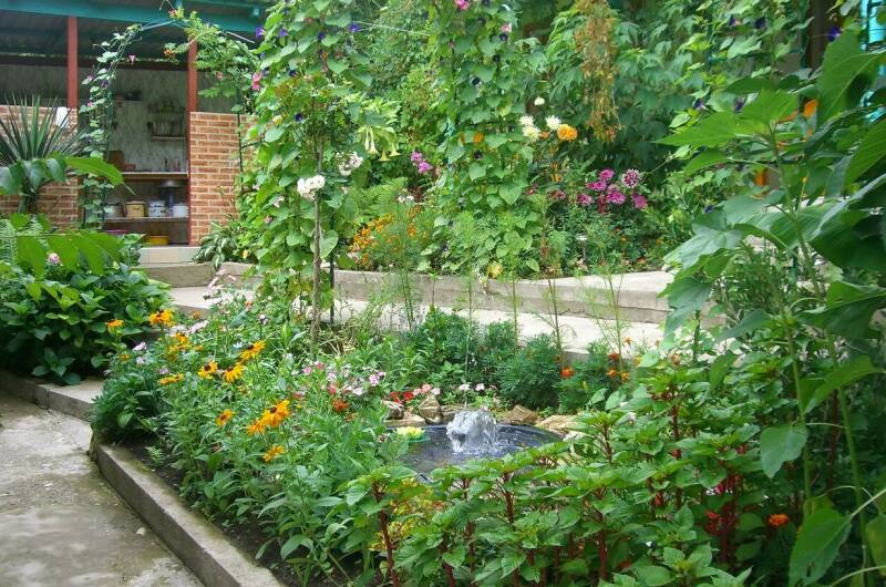 Изображение Изображение отеля / гостиницы "Гостевой дом «Эдельвейс»" #11 #9