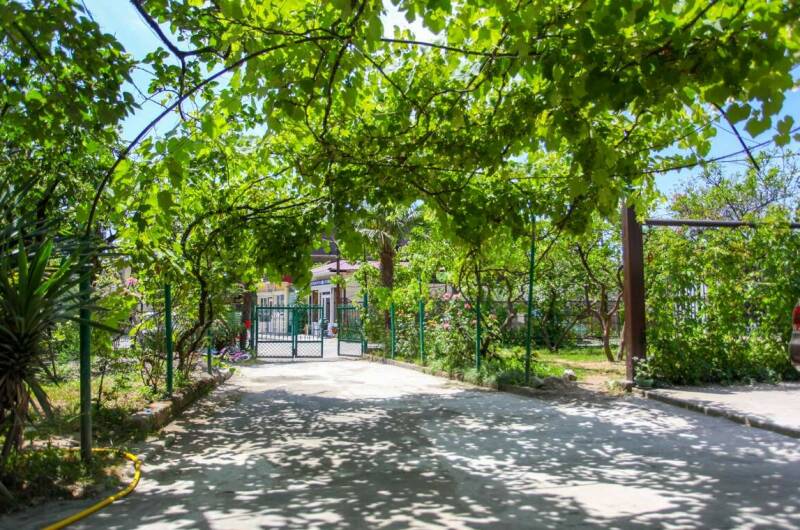 Изображение Изображение гостиницы "Гостевой дом «Зеленый дворик»" #1 #1