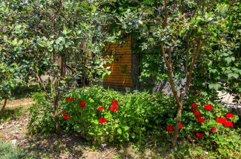 Изображение Изображение гостиницы "Гостевой дом «Зеленый дворик»" #3 #3