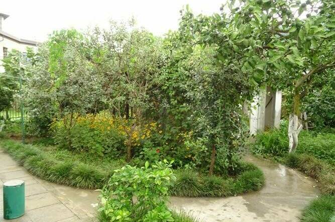 Изображение Изображение гостиницы "Гостевой дом «Зеленый дворик»" #5 #5