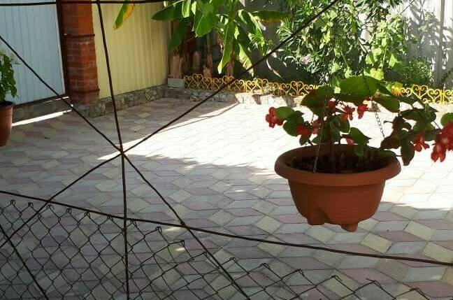 Изображение Изображение отеля / гостиницы "Гостевой дом «Орхидея»" #11 #9