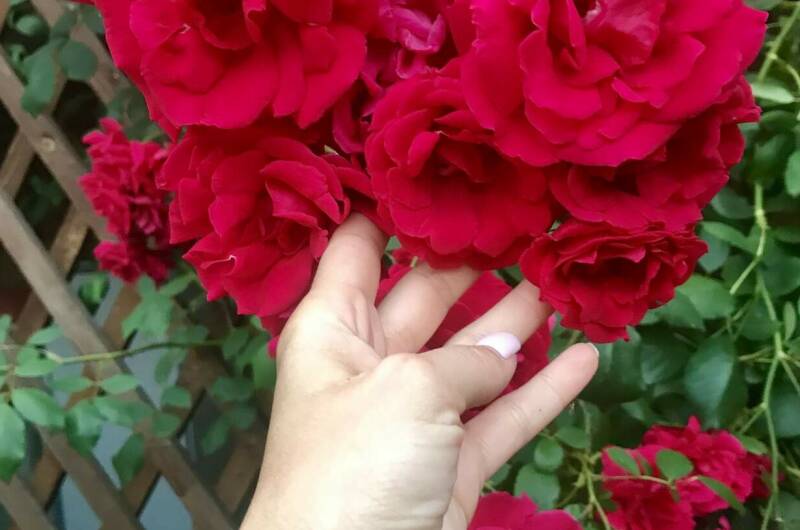 Изображение Изображение отеля / гостиницы "Гостевой дом «Елена»" #10 #8