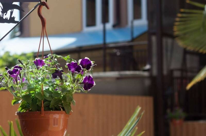 Изображение Изображение гостиницы "Гостевой дом «Ульяна»" #8 #8