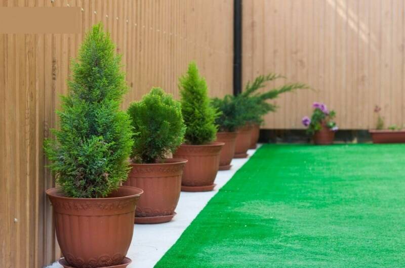 Изображение Изображение отеля / гостиницы "Гостевой дом «Ульяна»" #10 #8