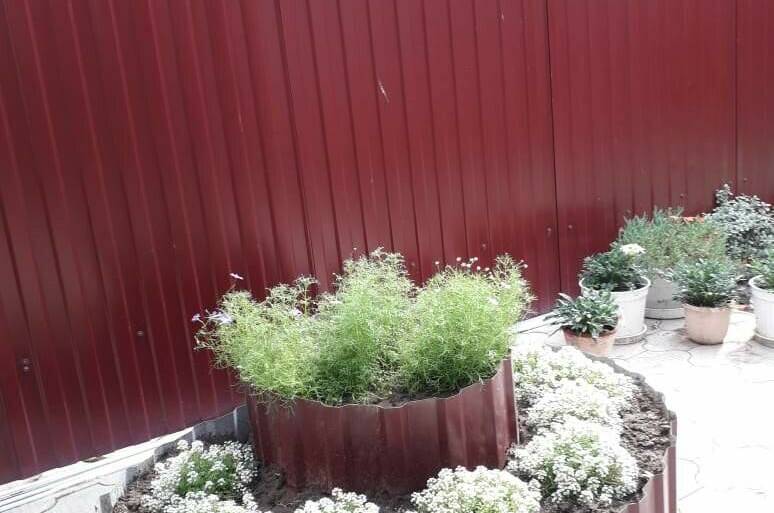 Изображение Изображение квартиры "Дом под ключ на 8 человек" #3 #3