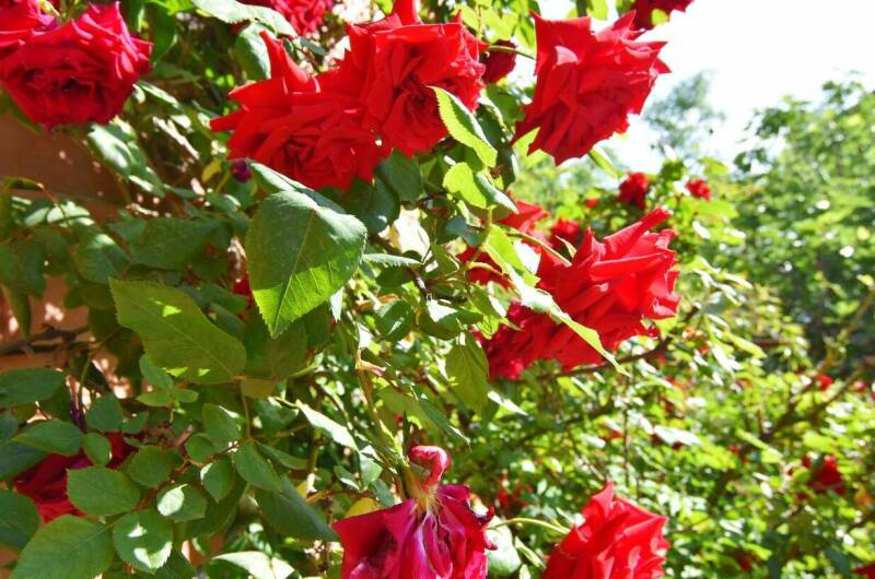 Изображение Изображение отеля / гостиницы "Гостевой дом «Лазурь Марин»" #6 #6