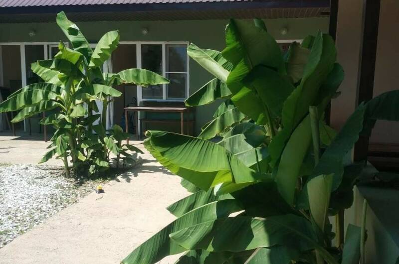 Изображение Изображение гостиницы &quot;Гостевой дом «Саламандра»&quot; #4 #4