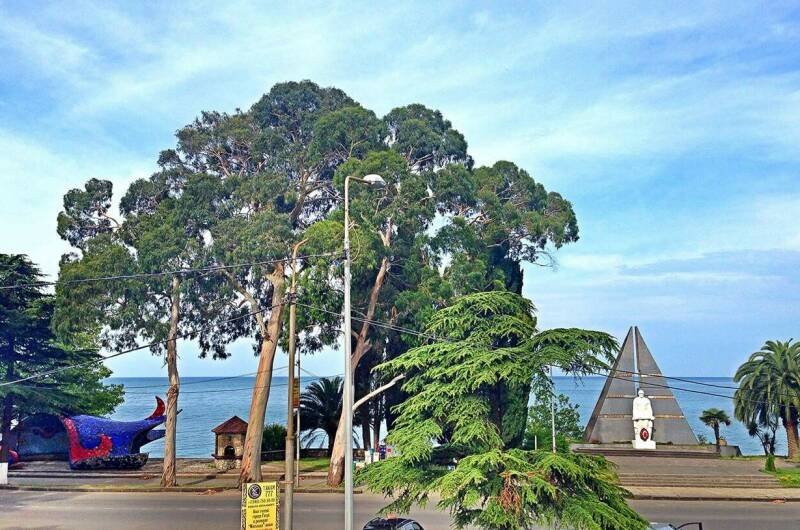 Изображение Изображение гостиницы &quot;Гостевой дом на Колхидской&quot; #2 #2