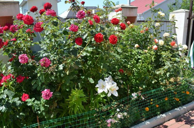 Изображение Изображение гостиницы &quot;Гостевой дом «Странник»&quot; #3 #3