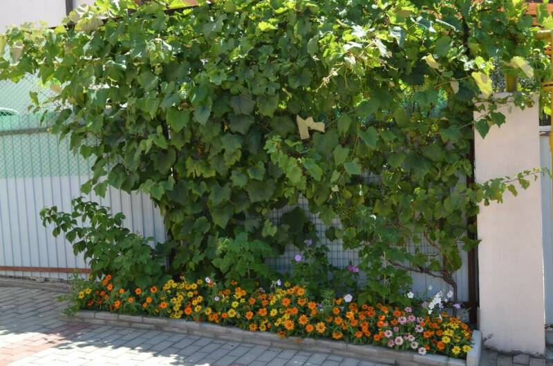 Изображение Изображение гостиницы &quot;Гостевой дом «Странник»&quot; #4 #4