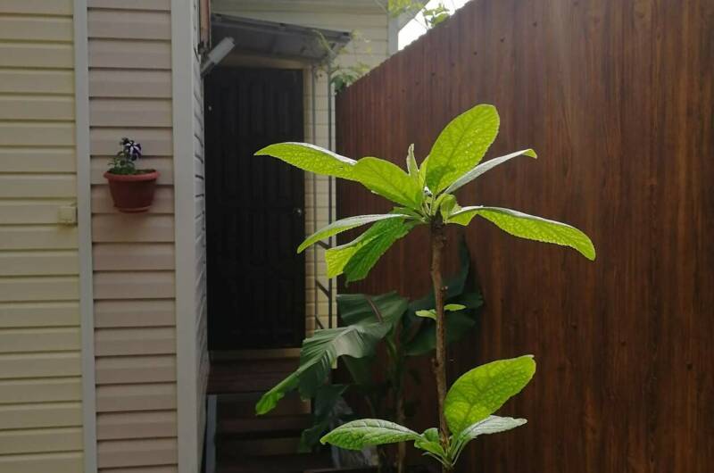 Изображение Изображение гостиницы &quot;Гостевой дом «У Романа и Светланы»&quot; #7 #7