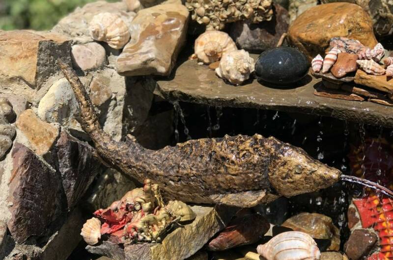 Изображение Изображение гостиницы &quot;Частное домовладение «Русалочка»&quot; #7 #7