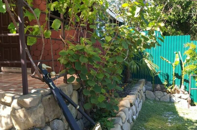 Изображение Изображение гостиницы &quot;Гостевой дом «Курортник»&quot; #8 #8