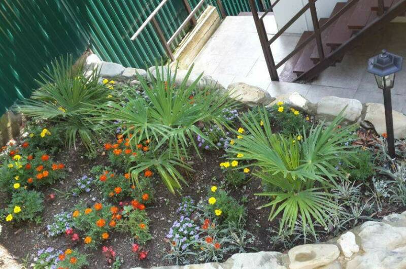 Изображение Изображение отеля / гостиницы "Гостевой дом «Курортник»" #10 #8