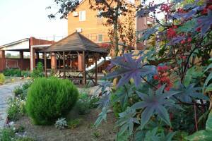 Изображение Частный сектор «Летящая по волнам» #4