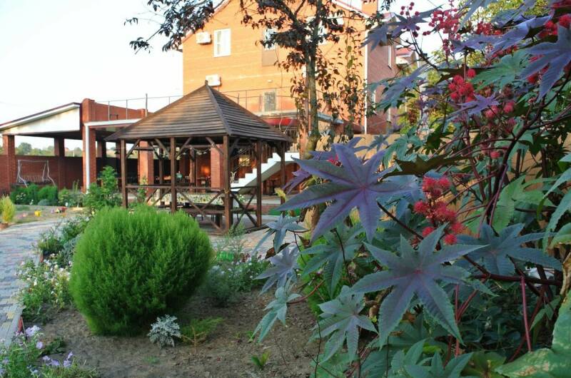 Изображение Изображение гостиницы "Частный сектор «Летящая по волнам»" #1 #1