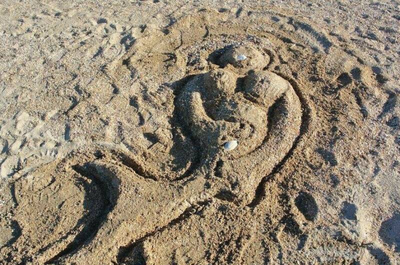 Изображение Изображение гостиницы "Частный сектор «Летящая по волнам»" #7 #7