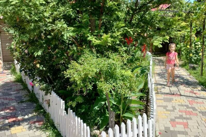 Изображение Изображение гостиницы "Частный сектор «Летящая по волнам»" #8 #8